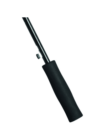 Active pl119