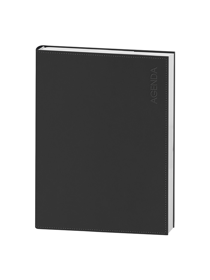 Agenda giornaliera pb213sds