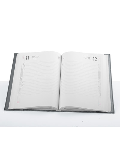 Agenda giornaliera pb213sds