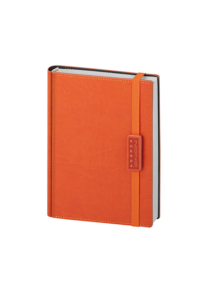 Agenda giornaliera pb275