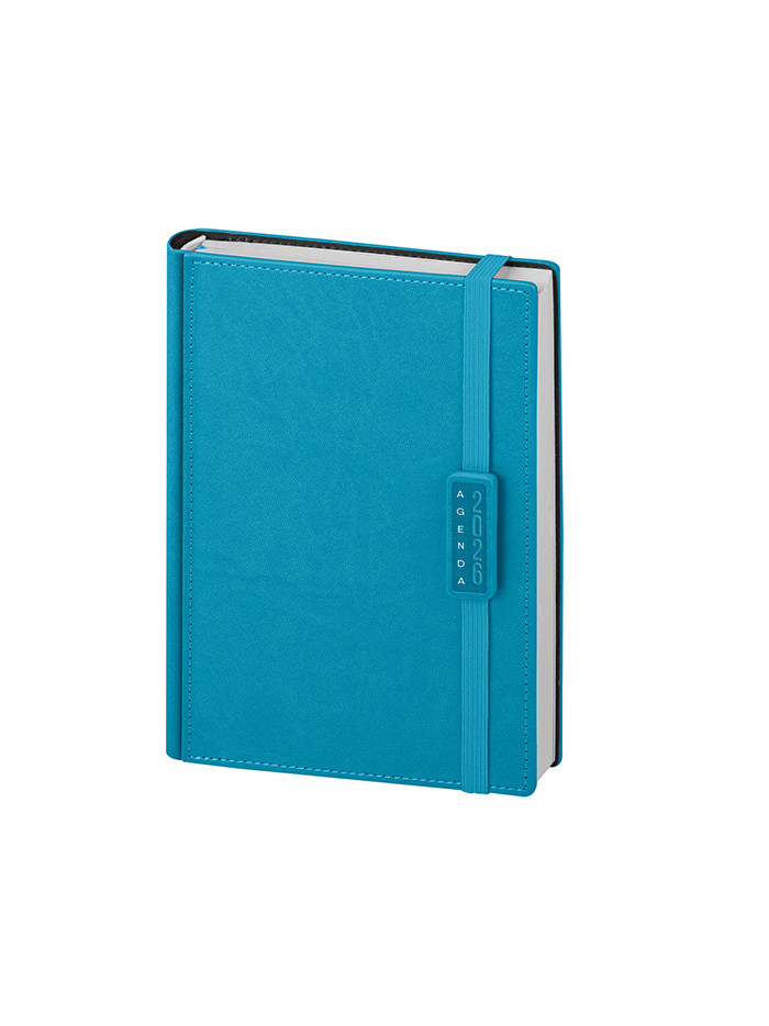 Agenda giornaliera pb275