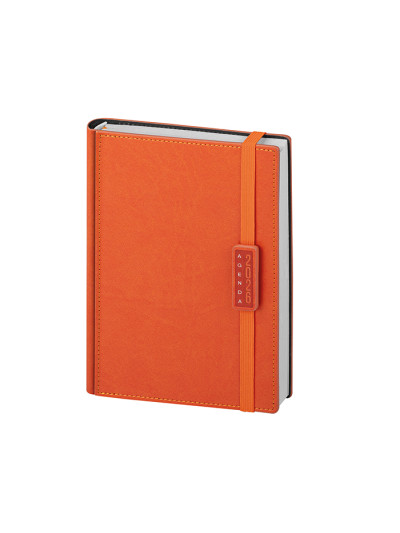 Agenda giornaliera pb275