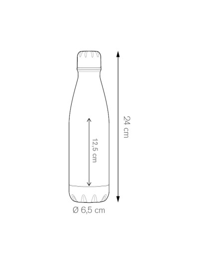 Alum bottle 600 pc494