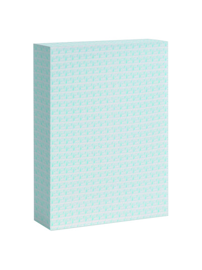 Astuccio pb521