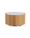 Bamboo speaker pf289