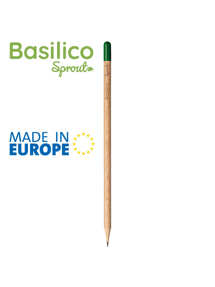Basilico pd562