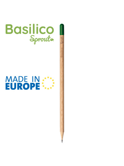 Basilico pd562