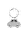 Beetle pe096