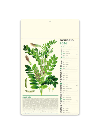 Erboristeria pa011