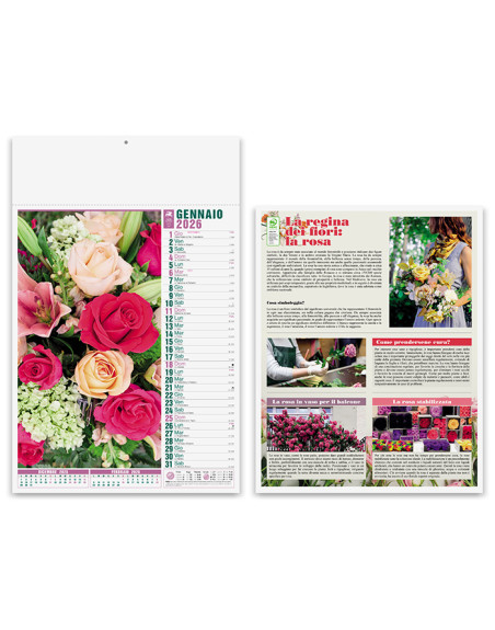 Fiori pa103