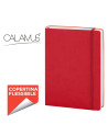 Flex note pb582