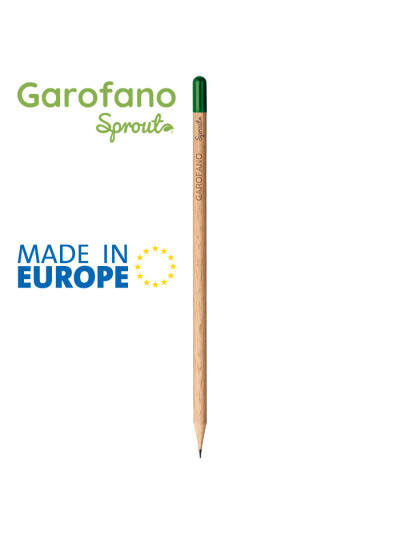 Garofano pd569