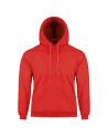 Hoodie nk305