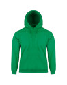 Hoodie nk305