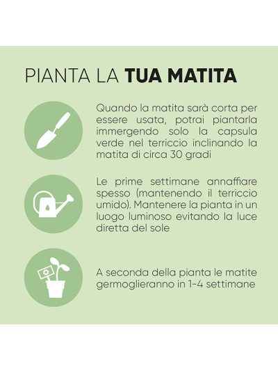 Margherita pd565