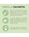 Margherita pd565