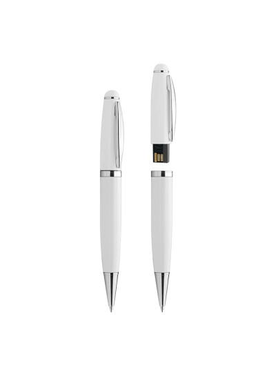 Pen drive pf108-04