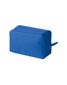 Polly pi313