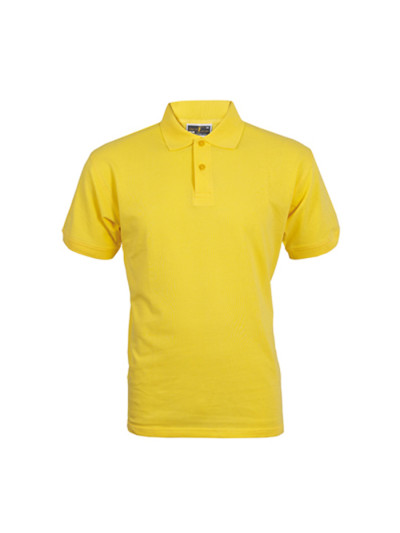 Polo pm400