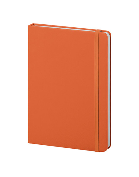 Pu notes pb620