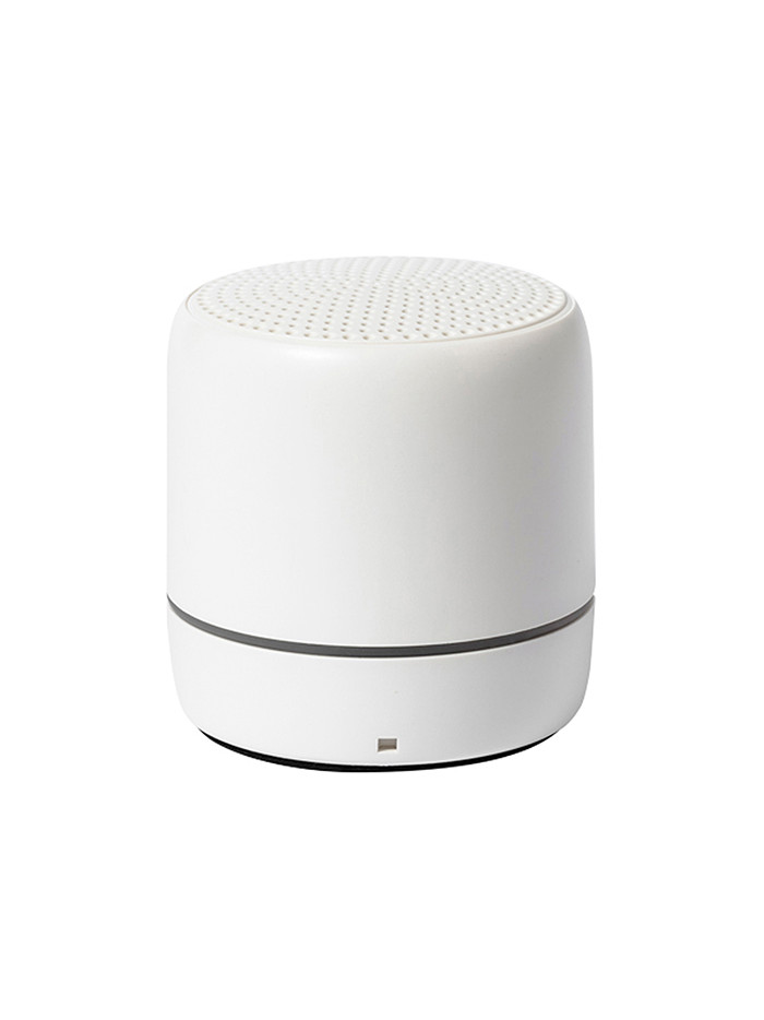 Rabs speaker pf182
