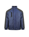 South pole pm695