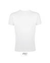 Regent fit