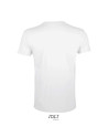 Regent fit