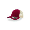 Cappello visiera curva 5 pannelli mesh posteriore