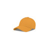 Cappello visiera curva 5 pannelli