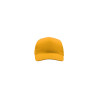 Cappello visiera curva 5 pannelli