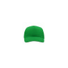 Cappello visiera curva 5 pannelli