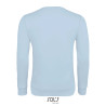 Sully