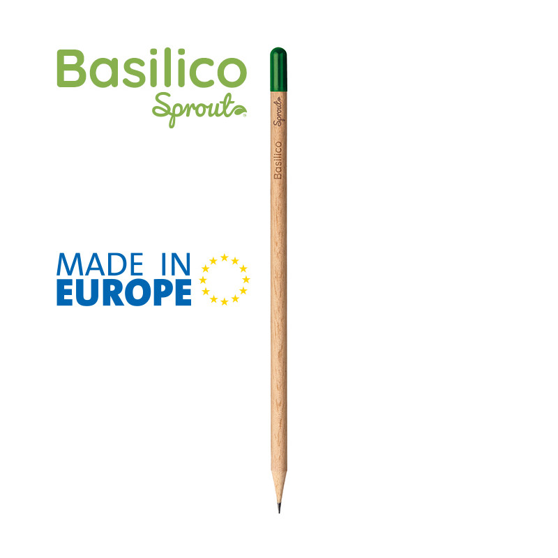 Basilico pd562