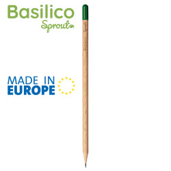 Basilico pd562
