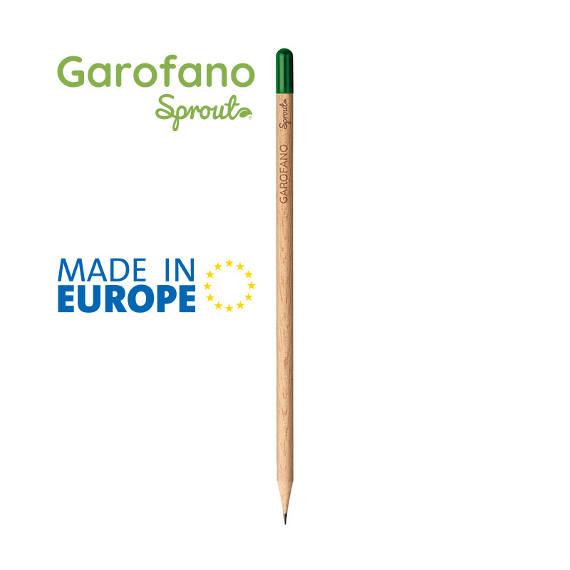 Garofano pd569