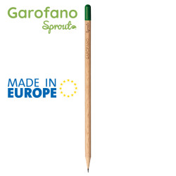 Garofano pd569