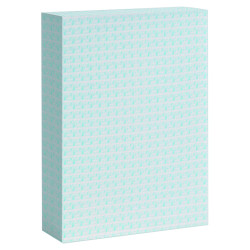Astuccio pb376