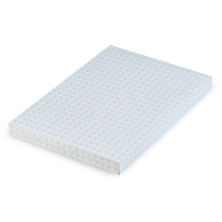 Astuccio pb531
