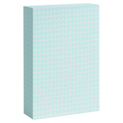 Astuccio pb545