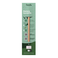 Astuccio sprout zd050