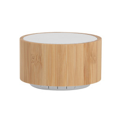 Bamboo speaker pf289