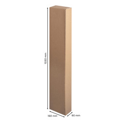 Cartone9 cr009