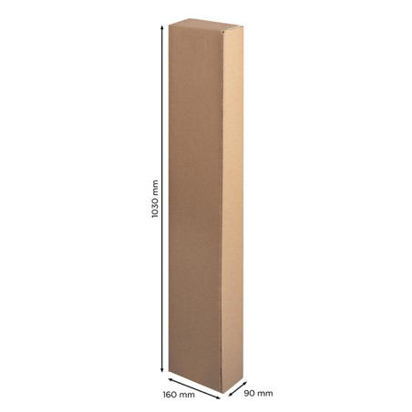 Cartone9 cr009
