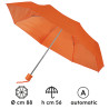 Colorain pl134