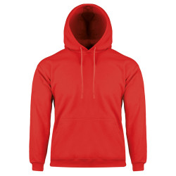 Hoodie nk305