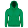 Hoodie nk305