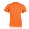 Junior color pm329