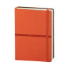 Notes infinity pb630