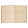 Notes righe pb611